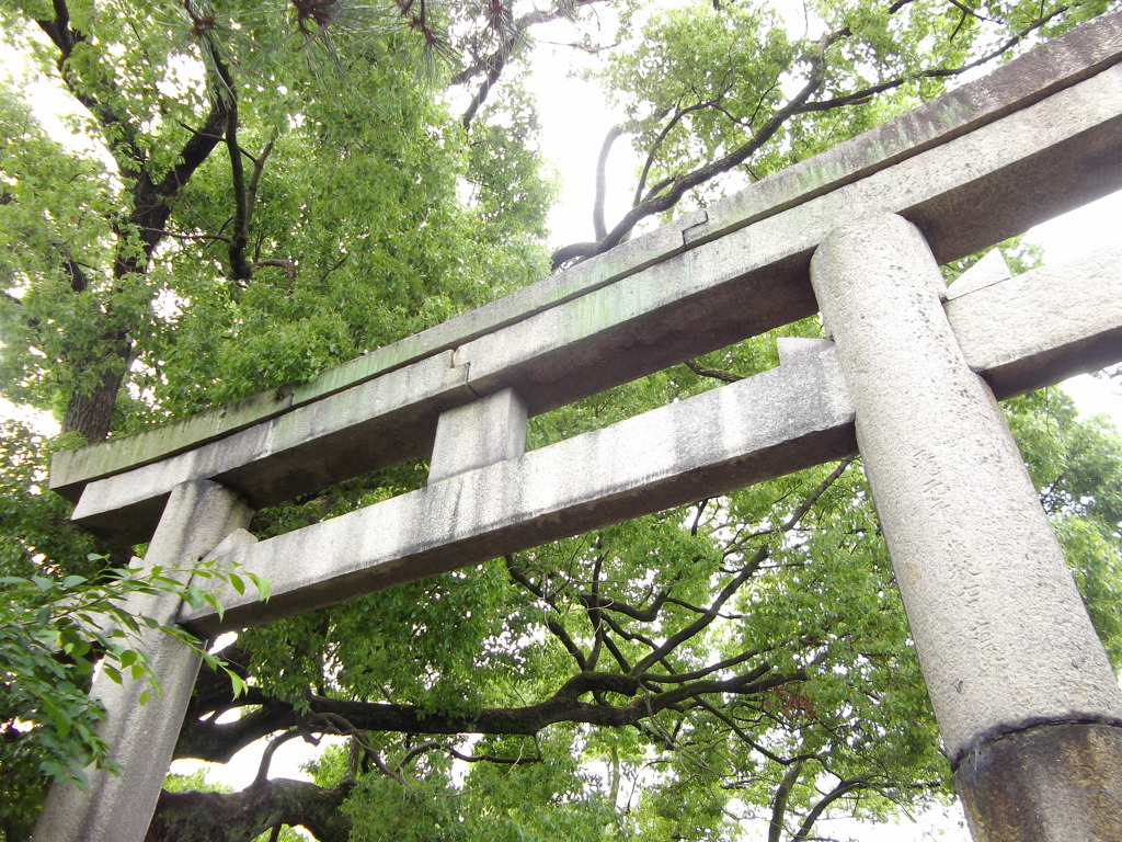 緑茂る神社の鳥居