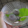 湧水でひんやり美味しい水まんじゅう