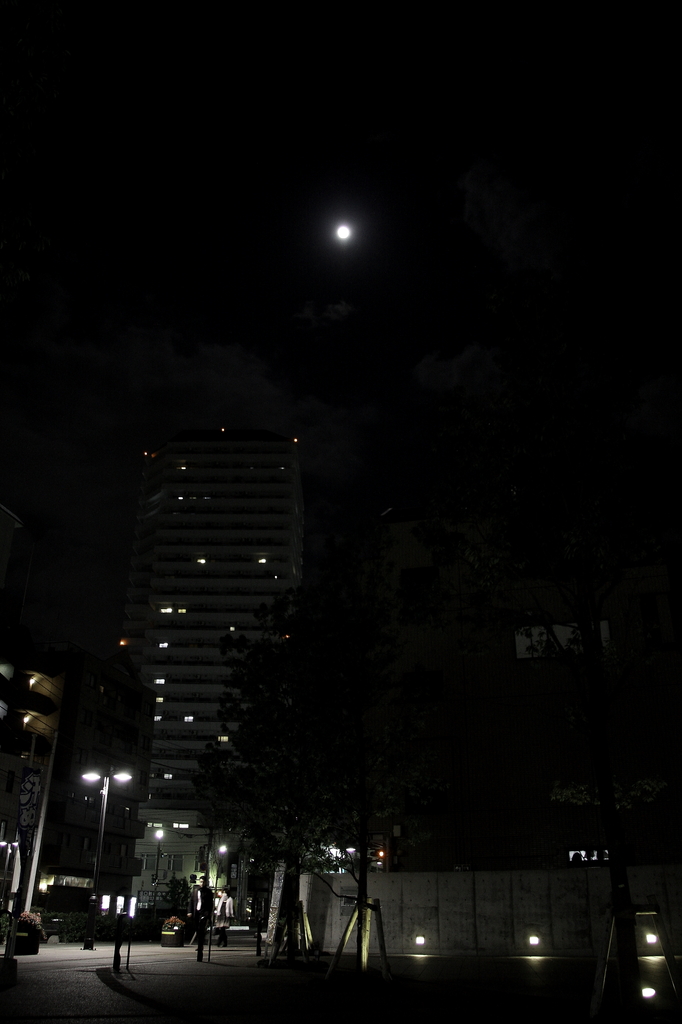 満月の夜