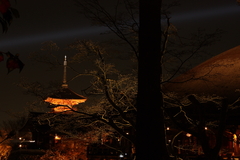 夜の清水寺