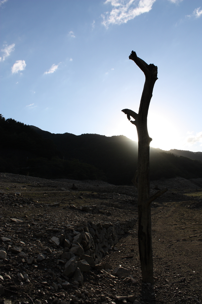 ダム湖の荒野