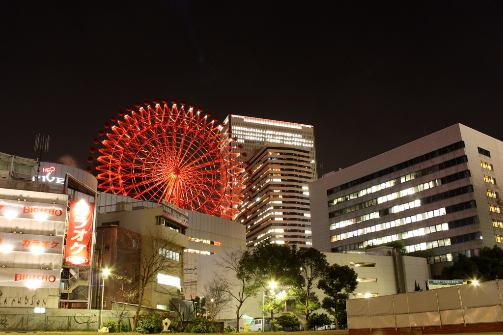 Ferris wheel of metropolis