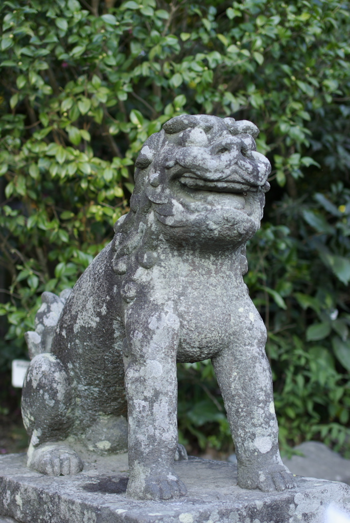 鶴岡八幡宮　狛犬(阿形)