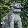 鶴岡八幡宮　狛犬(阿形)