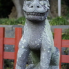 鶴岡八幡宮　狛犬(吽形)