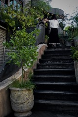 素敵な階段上ると　2025/11/08