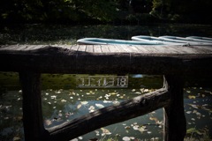 ココニイルヨ　2025/12/05