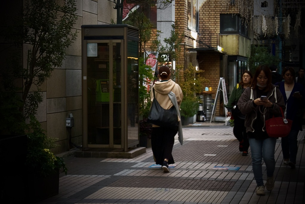 秋は…　2025/10/25