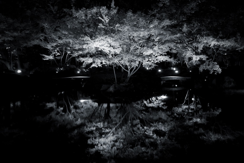 大田黒公園　2025/11/30