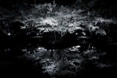 大田黒公園　2025/11/30