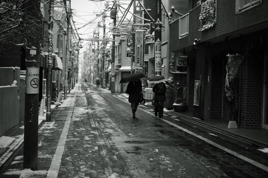 雪の日　2026/02/08