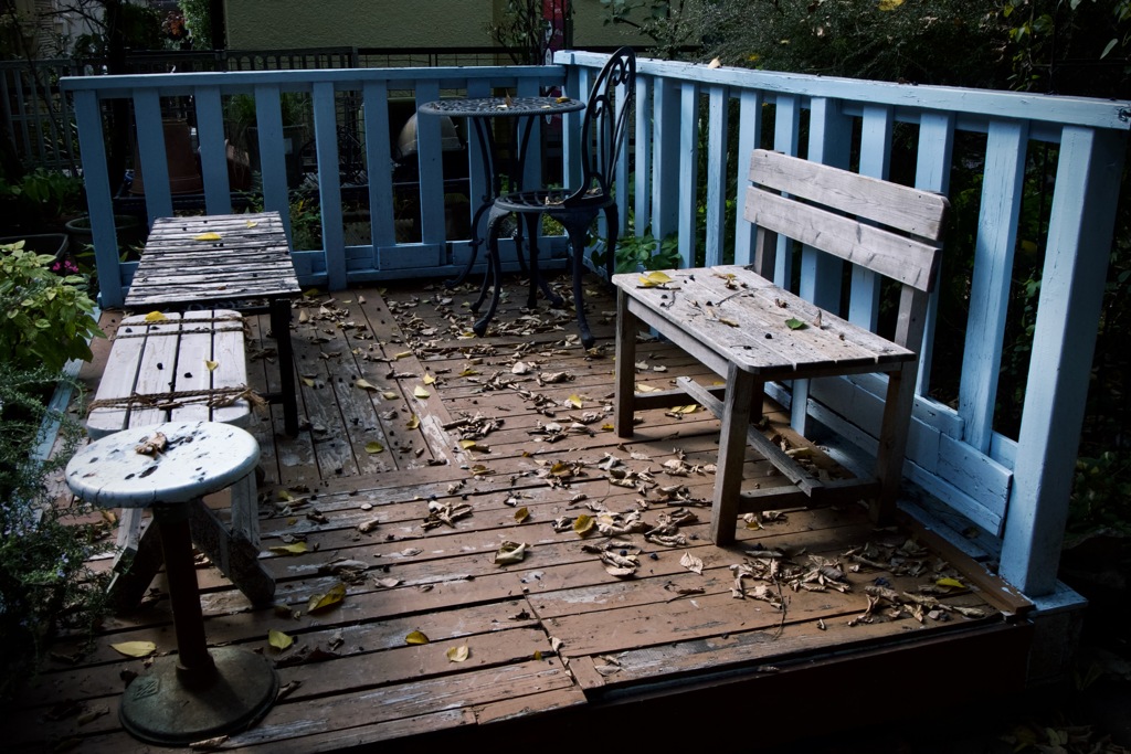 Wood deck　2025/11/28