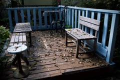 Wood deck　2025/11/28