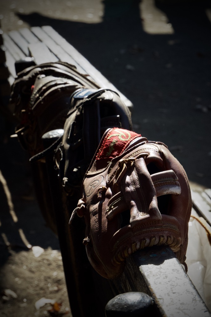 グローブ　2025/12/23