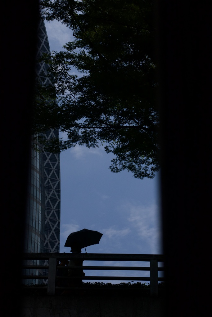 日傘　2025/07/02
