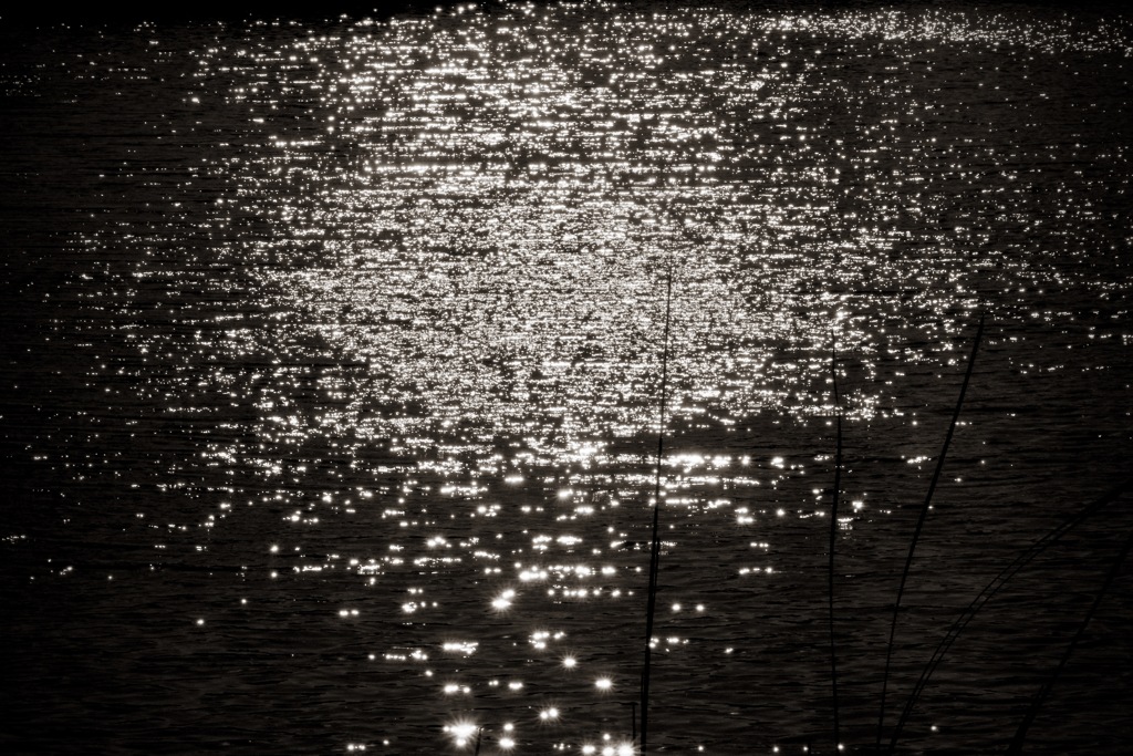 波立つ　2026/01/18