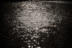 波立つ　2026/01/18