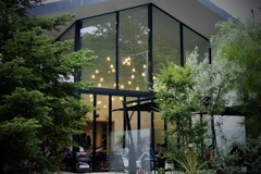 公園脇のcafe　2025/10/16