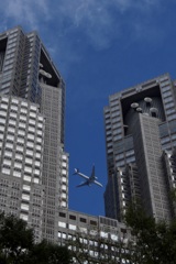 新宿中央公園より　2025/08/10