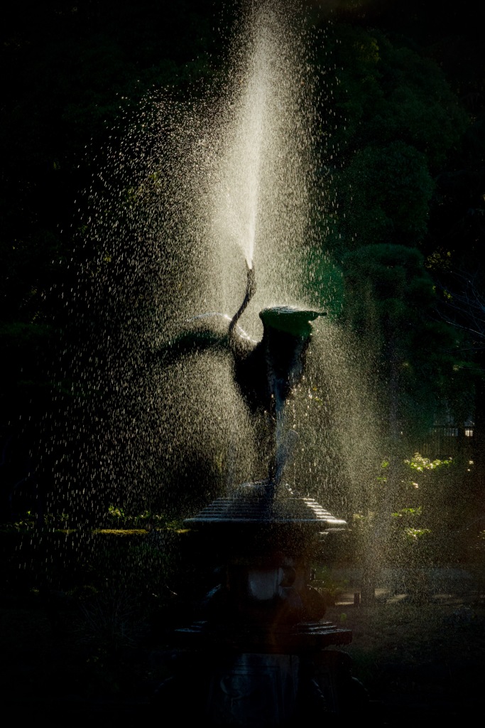 鶴の噴水　2025/12/20