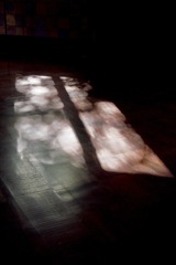 陽だまり　2025/12/13