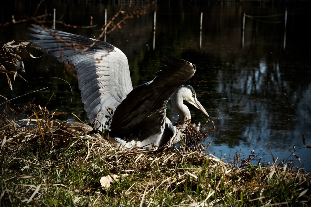 Lock-on　2026/01/30