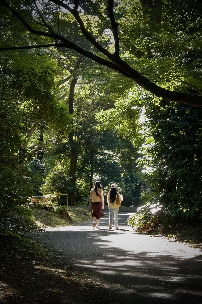 陽だまり　2025/11/10