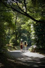 陽だまり　2025/11/10