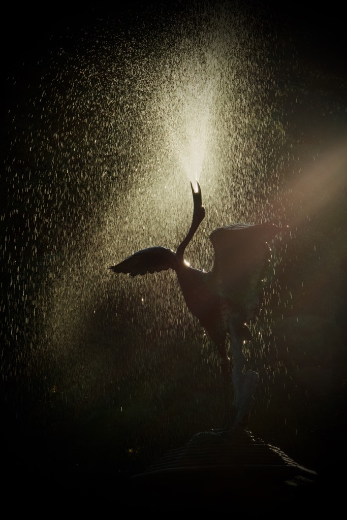 鶴の噴水　2025/12/29