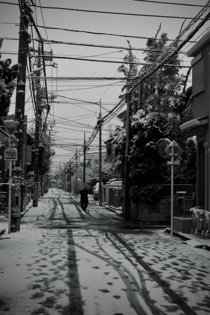 雪の日の散歩道　2026/02/08