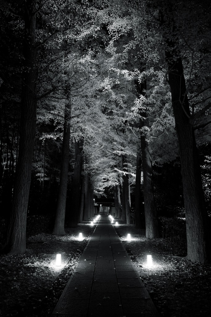 大田黒公園　2025/11/29