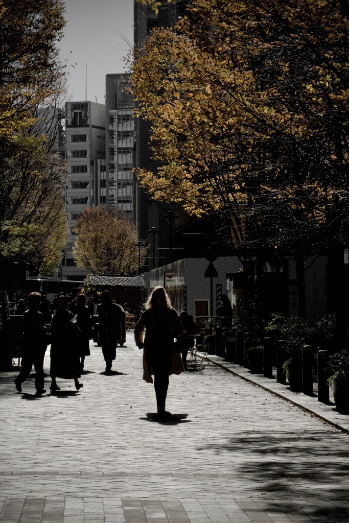 Daylight　2025/12/09