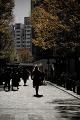 Daylight　2025/12/09