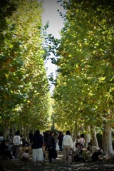 印象派　2025/11/05