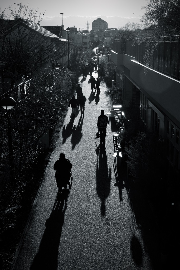 長い影　2025/12/14