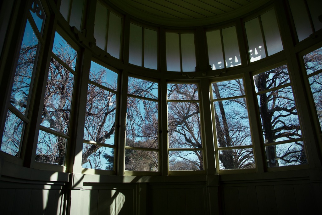 新宿御苑 昭和天皇が見た空　2026/01/27