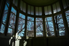 新宿御苑 昭和天皇が見た空　2026/01/27