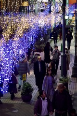 小路の灯り　2025/11/26