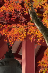 朱色と紅葉