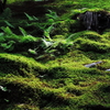 DSCN0126