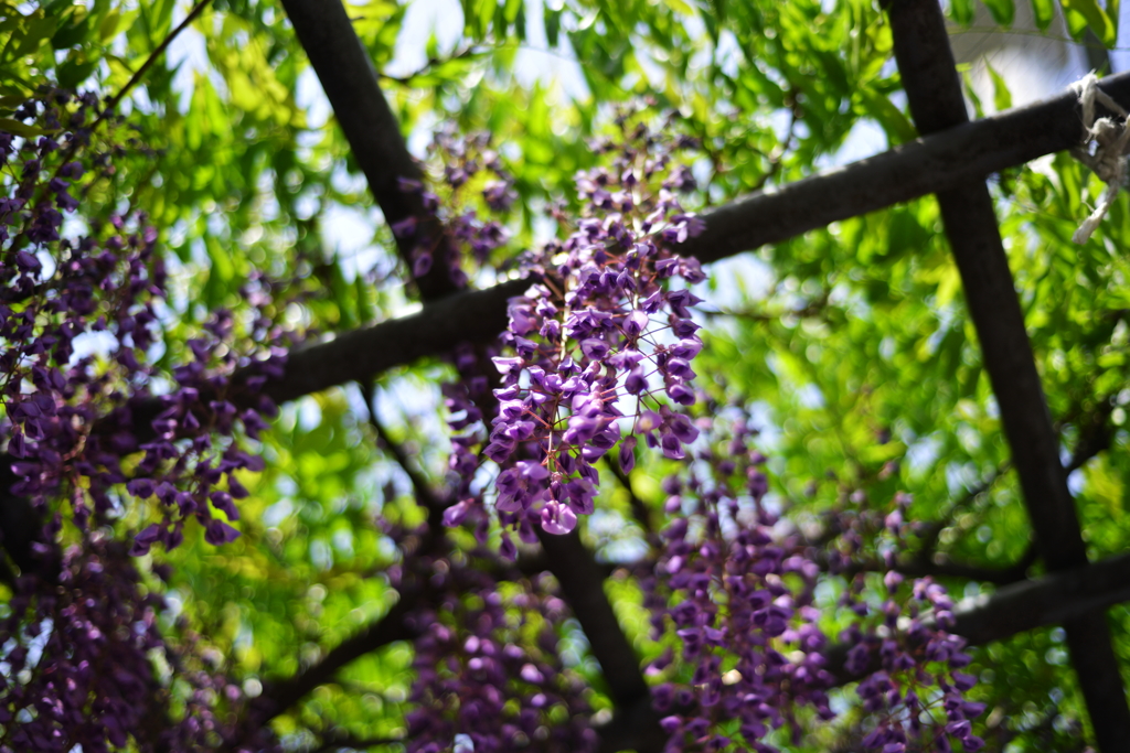 DSC_3199