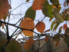 PICT0045