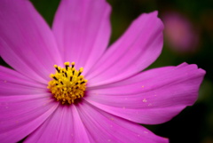 IMGP8968