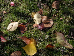 PICT0041