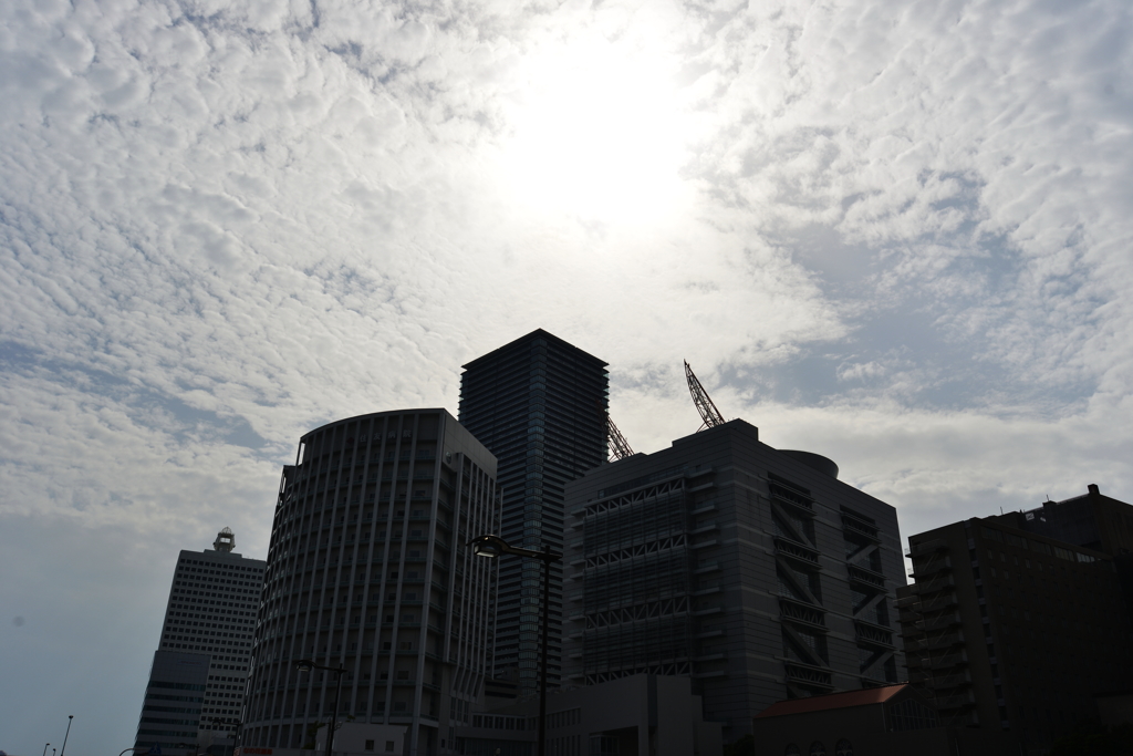 DSC_6373