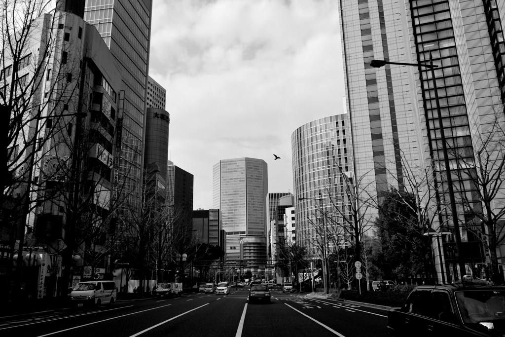 DSC_3589