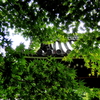 DSCN3603