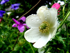 R0010427