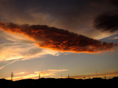 DSCN0871