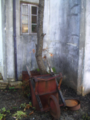 PICT0244
